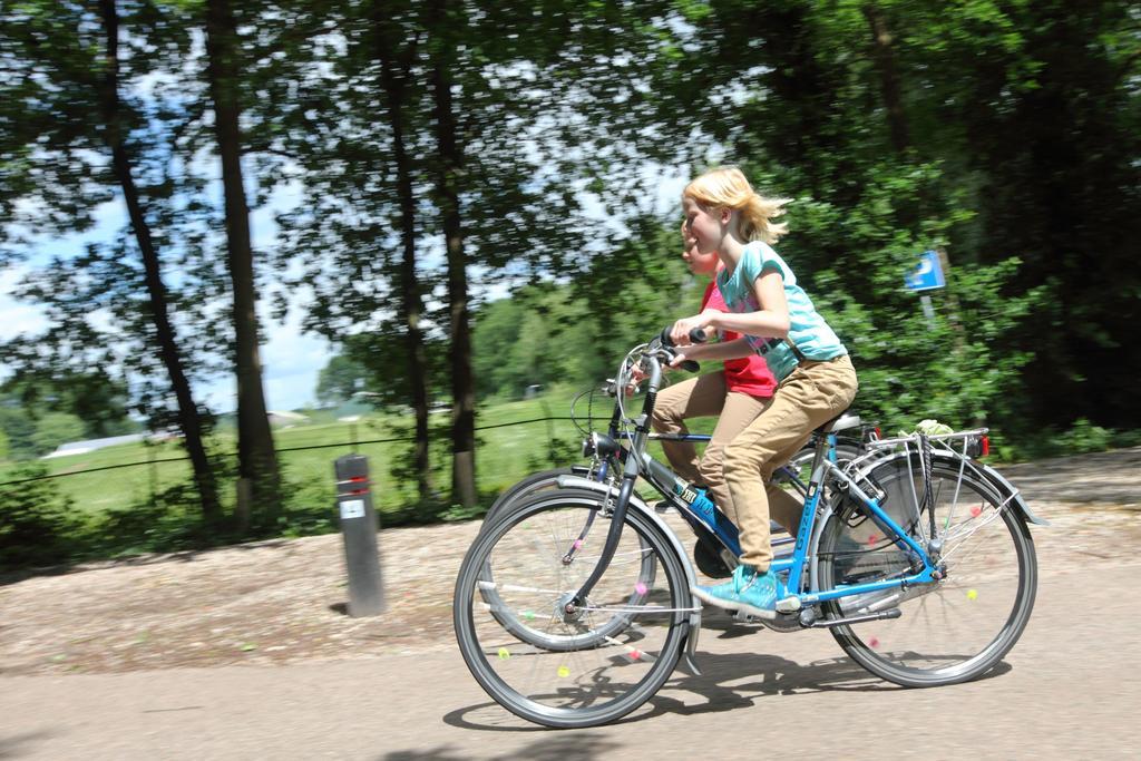 Natuurpark De Witte Bergen Hotel Rouveen Værelse billede