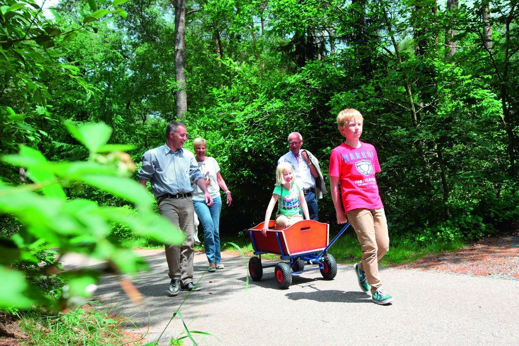 Natuurpark De Witte Bergen Hotel Rouveen Værelse billede